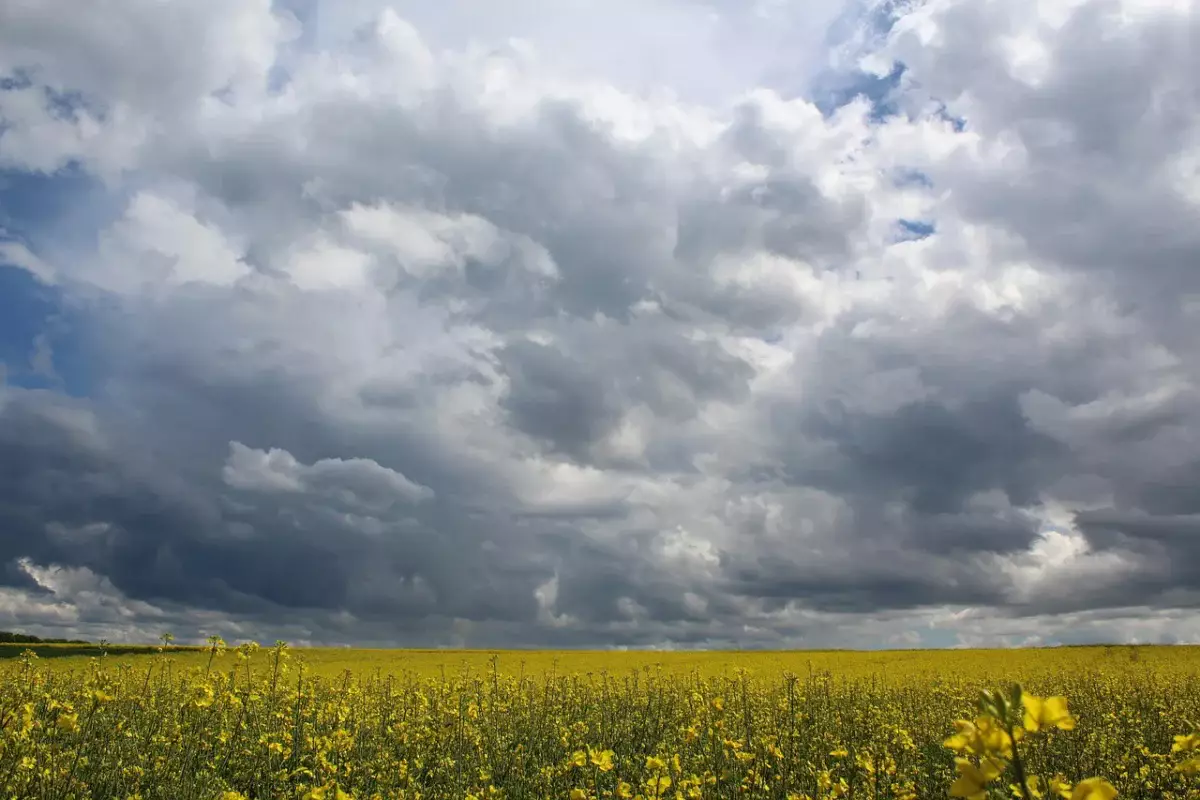 Казахстан ждёт погодная турбулентность: грозы и до +32 градусов