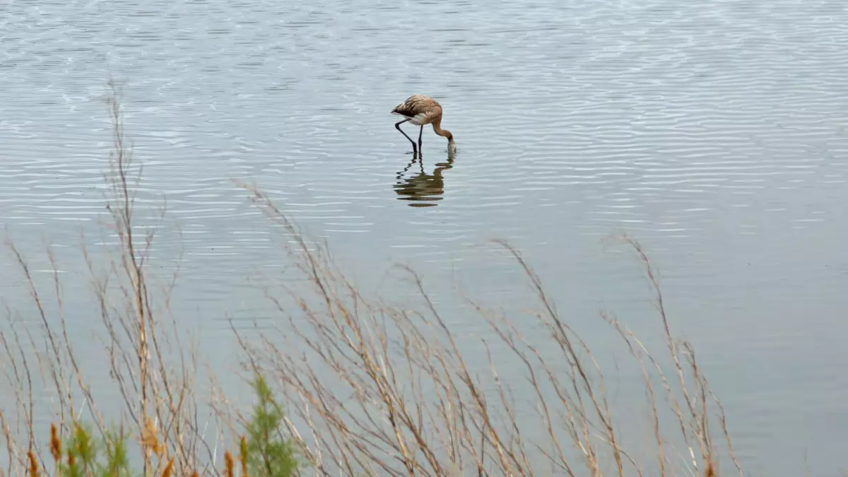 БҰҰ: Орталық Азия климат өзгерісінің алдыңғы шебінде тұр