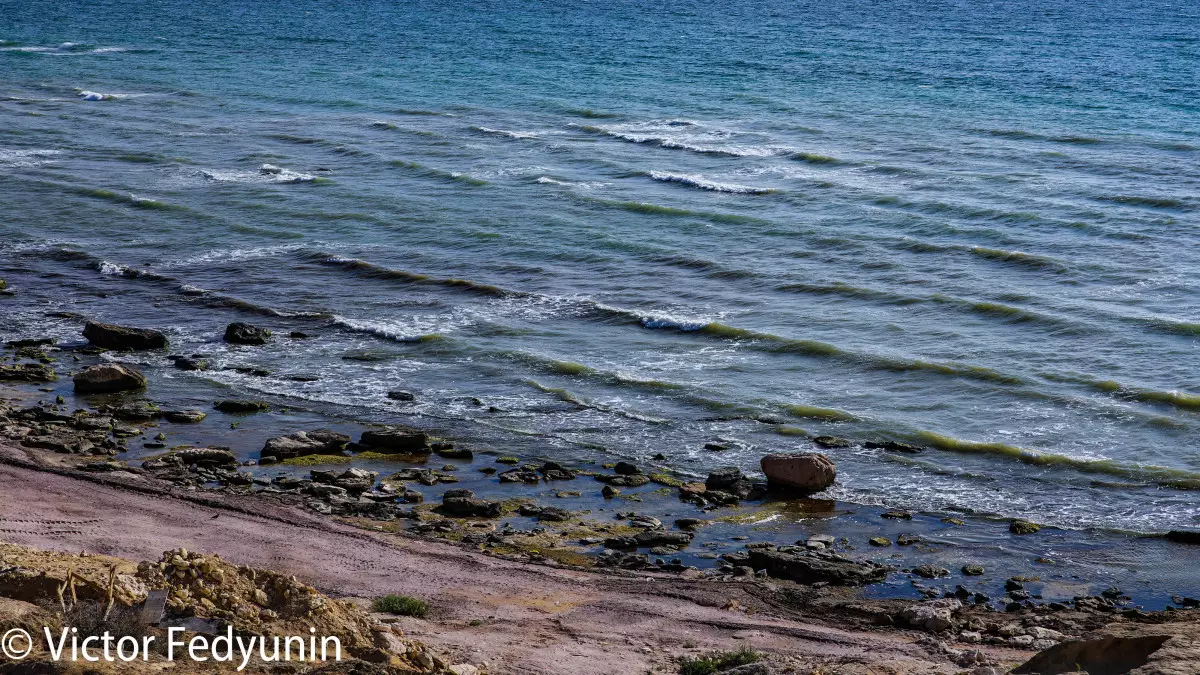 Әзербайжан Премьер-министрі: Каспийдің тартылуымен күресу үшін күш біріктіру керек