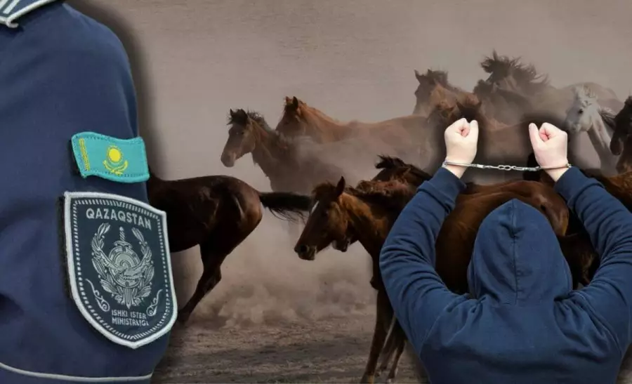 Келген шығын - 46 млн теңге: Жетісу облысында 17 жыл мал баққан бақташы тосын қылмысқа барған