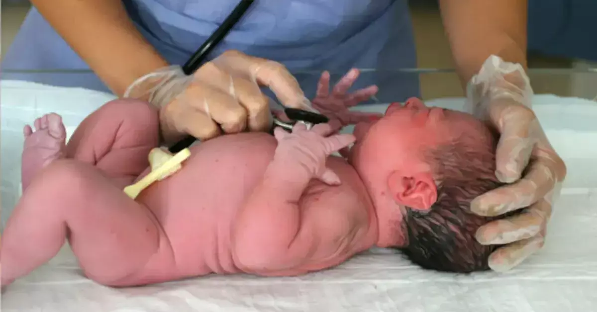 В Мангистау уменьшилось число случаев внутриутробной инфекции у детей - новости на Lada.kz 22.04.2026