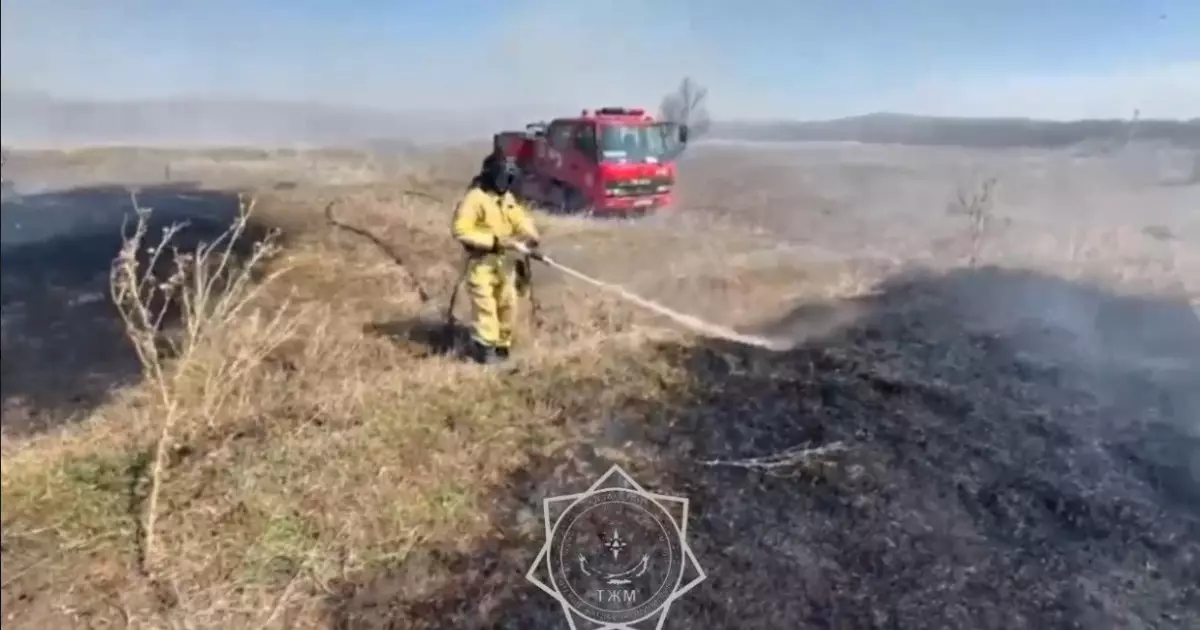  ШҚО-да 7 гектар аумақтағы шөп өртеніп кетті 
