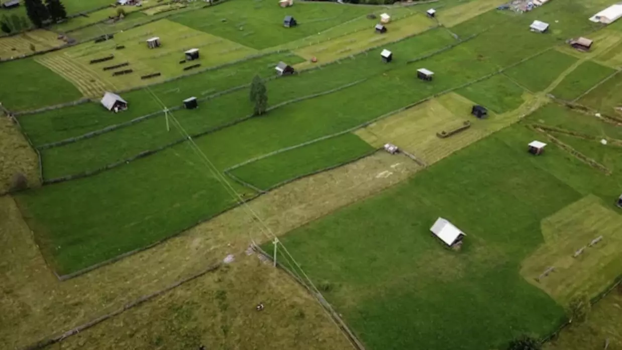 Ұлытауда 7 мың га ауыл шаруашылығы жері мақсатсыз пайдаланылған