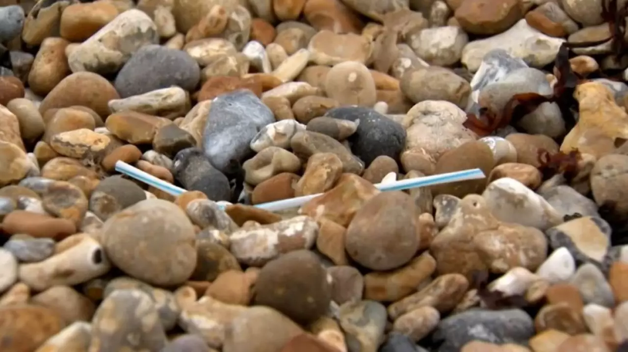 Как борются с пластиковыми отходами в мире