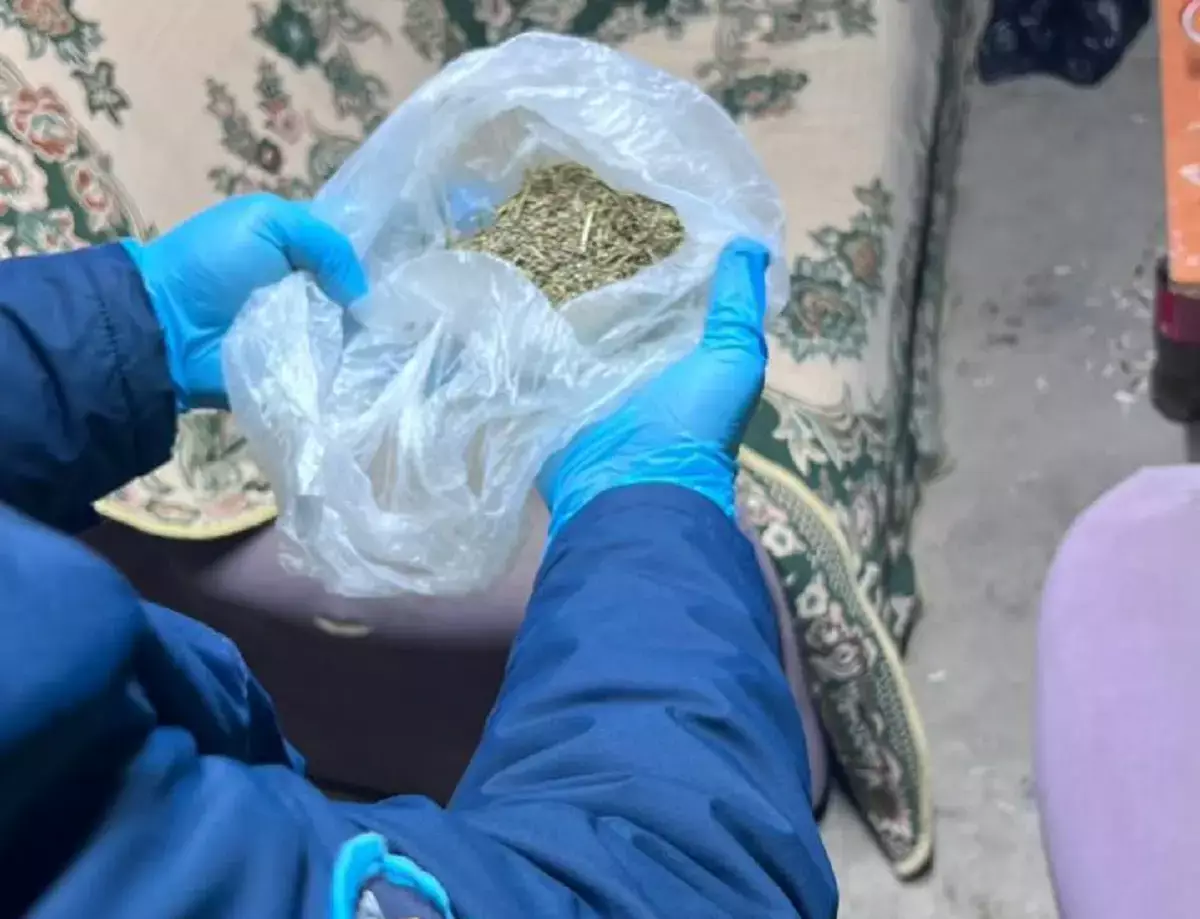 Житель Форт-Шевченко выращивал коноплю в подвале дома - новости на Lada.kz 22.04.2026