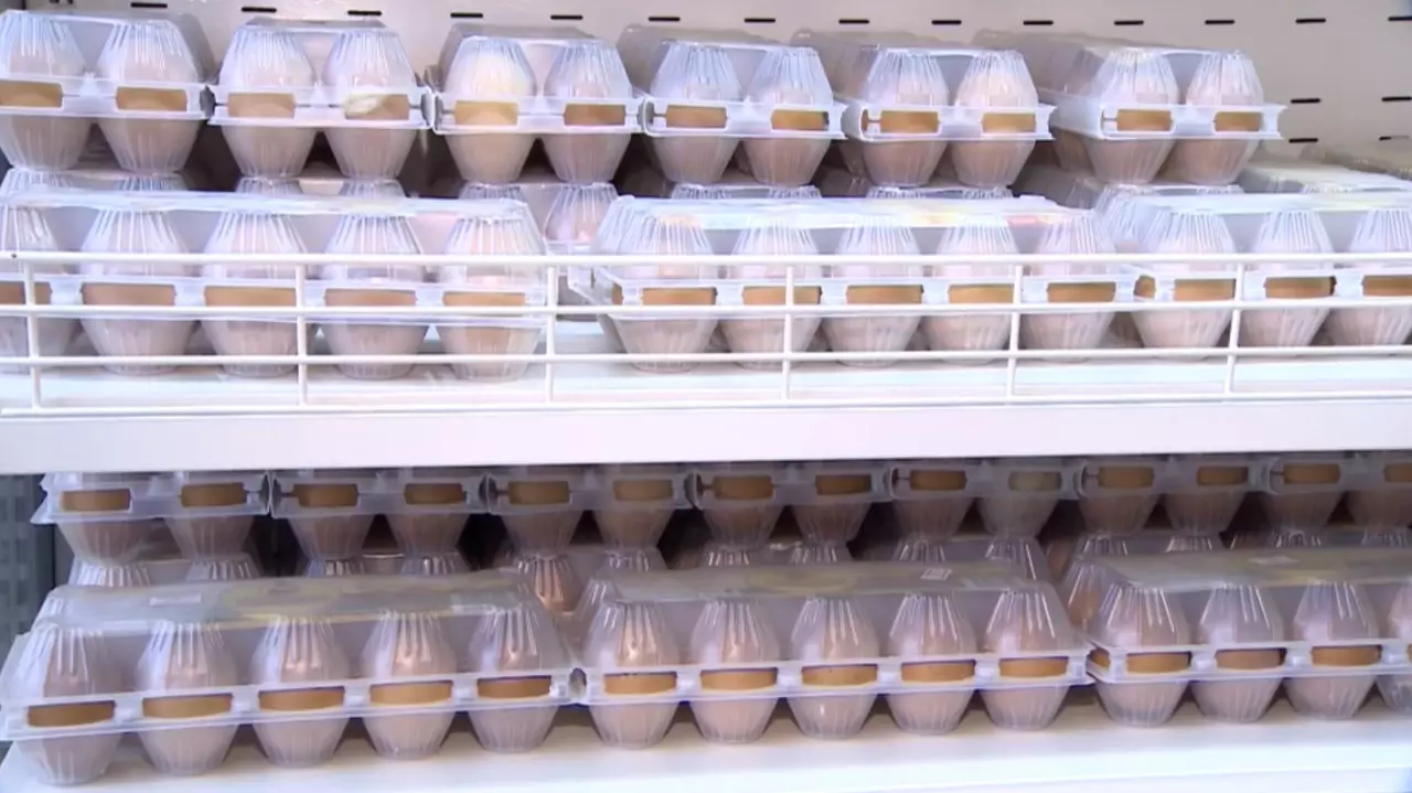 Ұлттық тауарлар каталогына тіркеу жалғасып жатыр