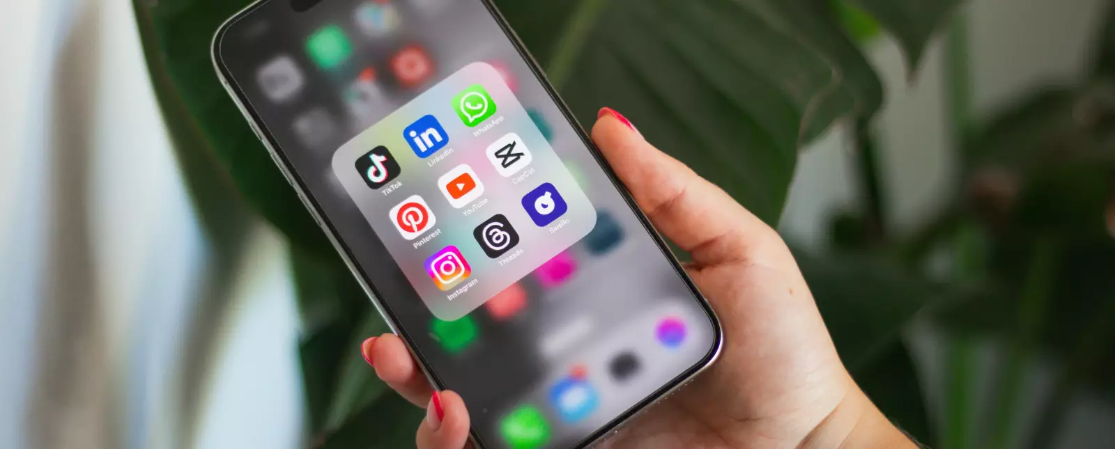 Критики в соцсетях о предстоящем референдуме в Казахстане в 2026 году