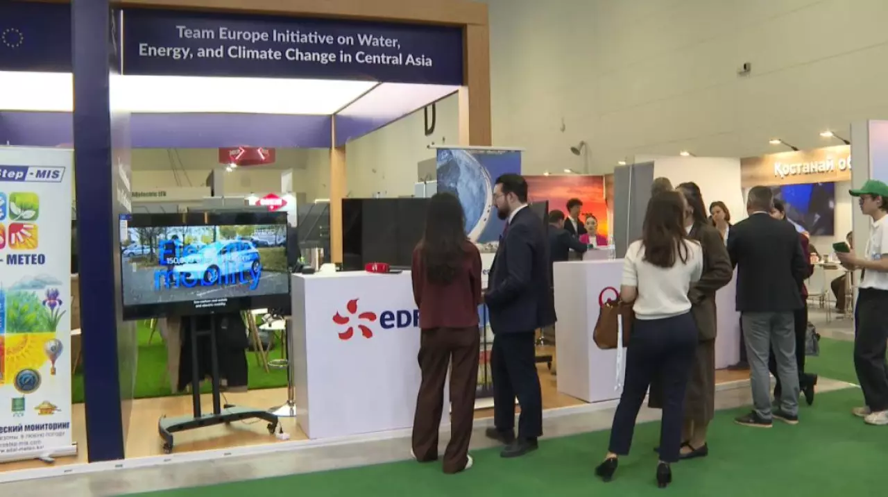 Проекты в сфере «зеленой» энергетики представили французские компании