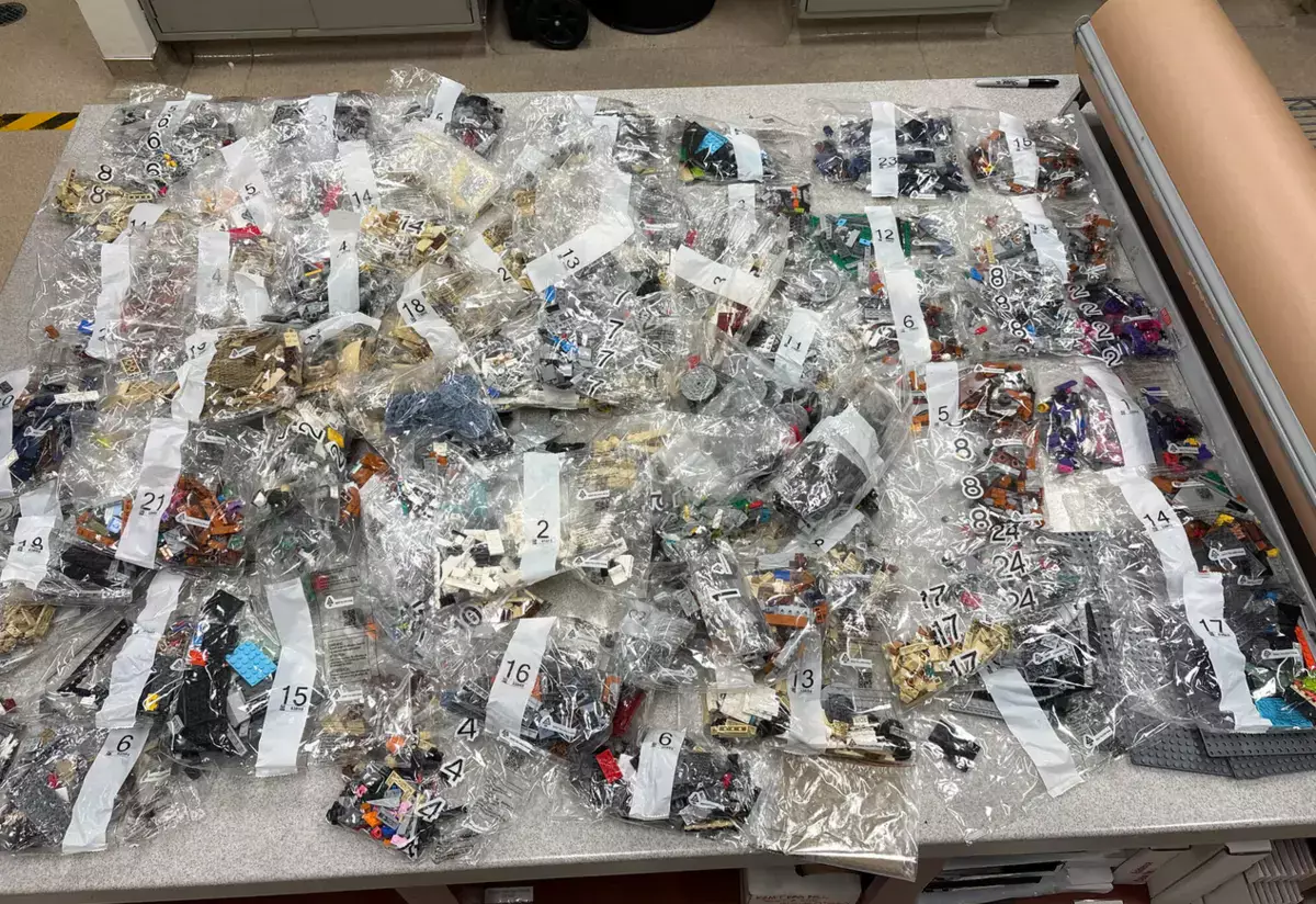 Мужчина заработал более 2,5 млн рублей, заменяя детали из наборов Lego на макароны - новости на Lada.kz 22.04.2026