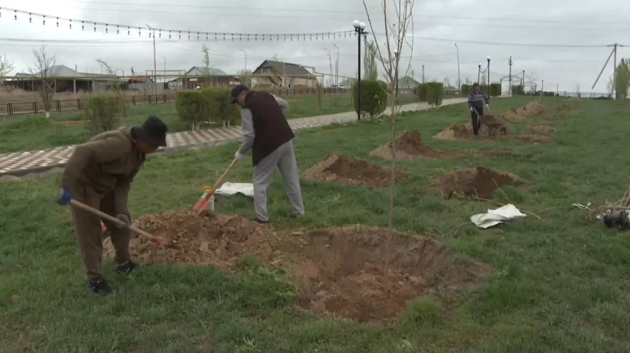 «Зеленый пояс» создадут в Кербулакском районе области Жетысу