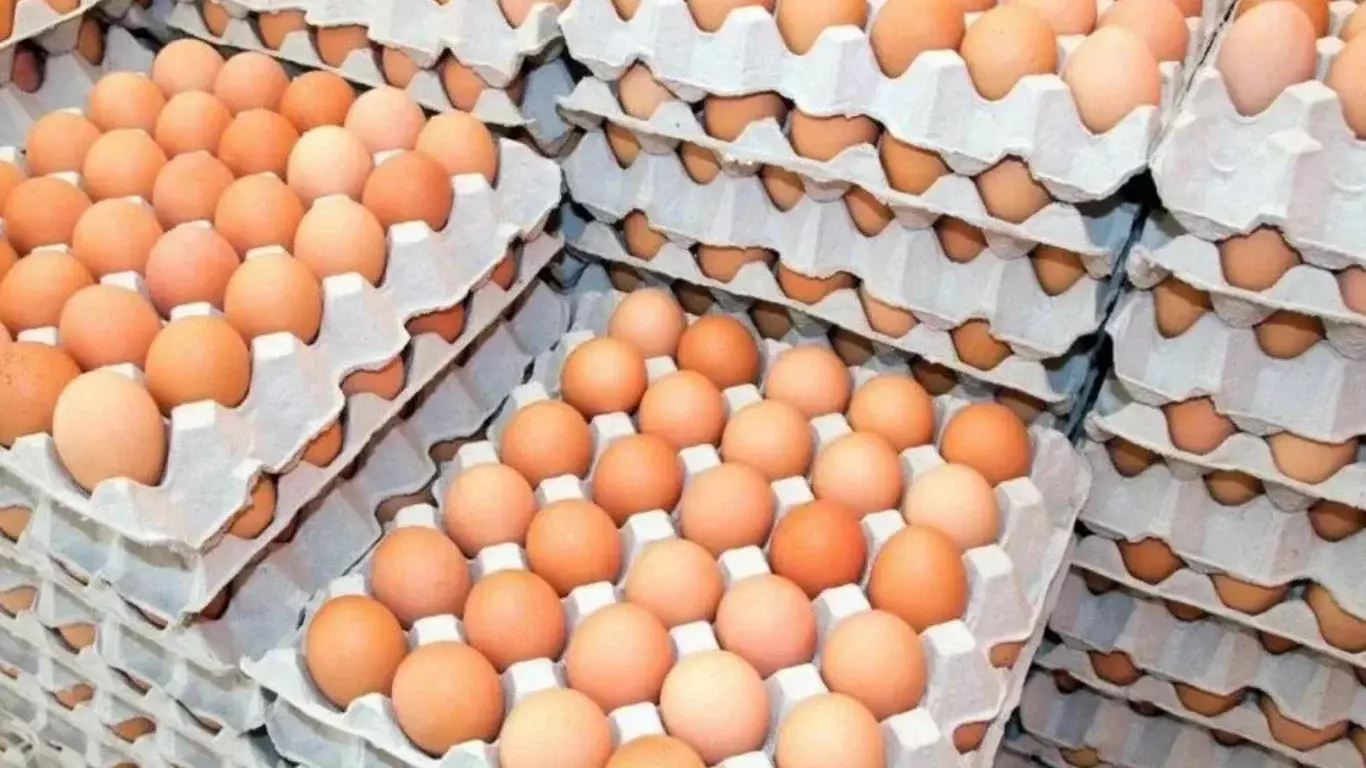 Казахстан вводит шестимесячный запрет на импорт яиц