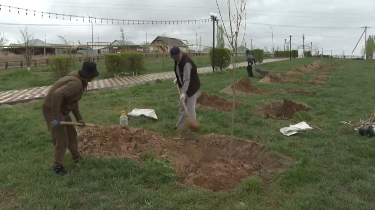 Биыл Жетісу облысы Кербұлақ ауданында бес мыңға жуық көшет егілді