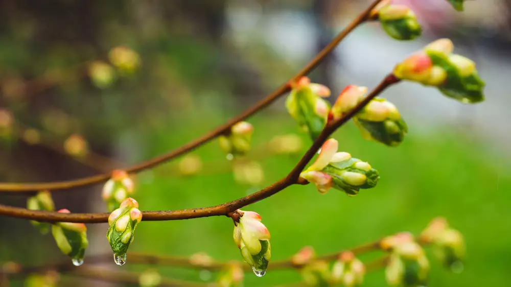 Казахстан накроют дожди и грозы. Прогноз погоды на четверг, 23 апреля