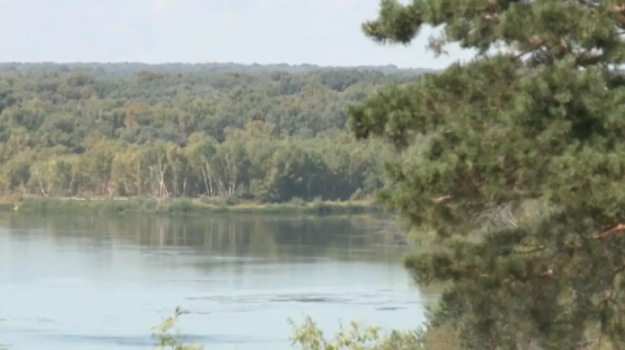 Елімізде орман қоры ұлғайып келеді 