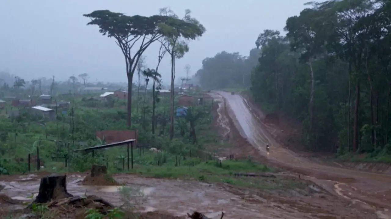 Орманды қалай сақтап қалуға болады?