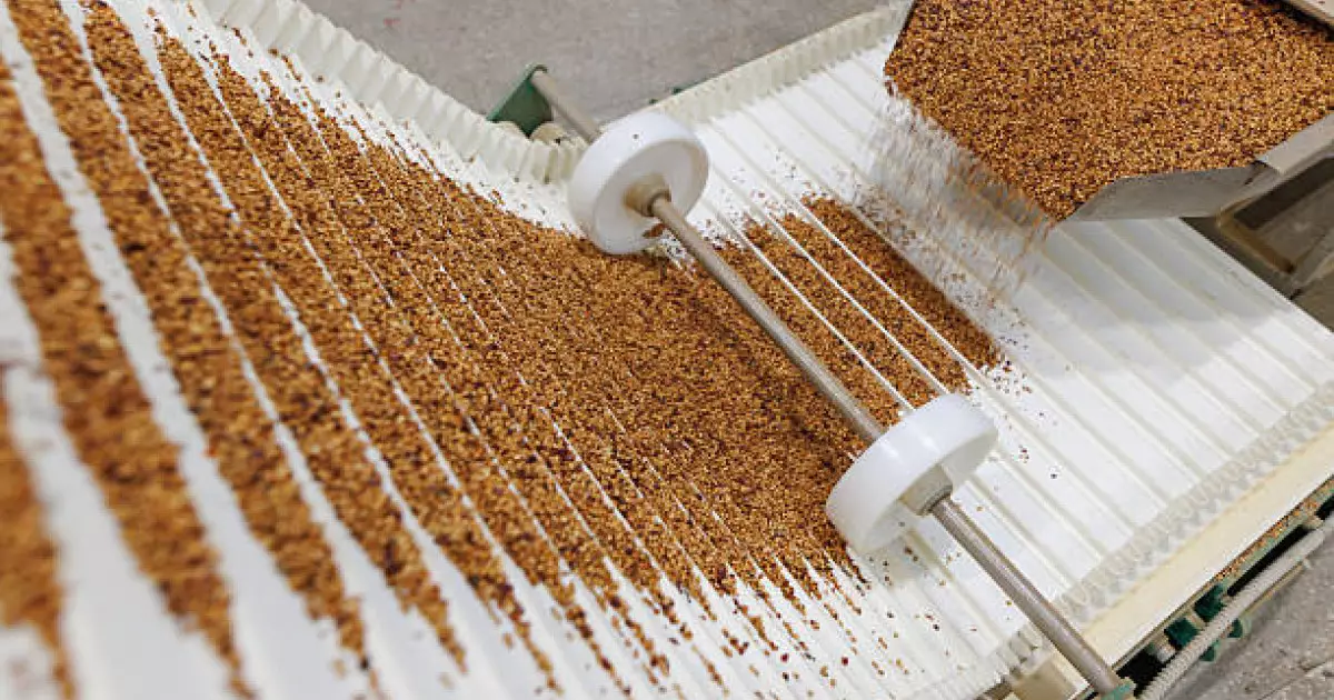  Үкімет: Ақмола облысында астықты терең өңдеу зауыты салынады 