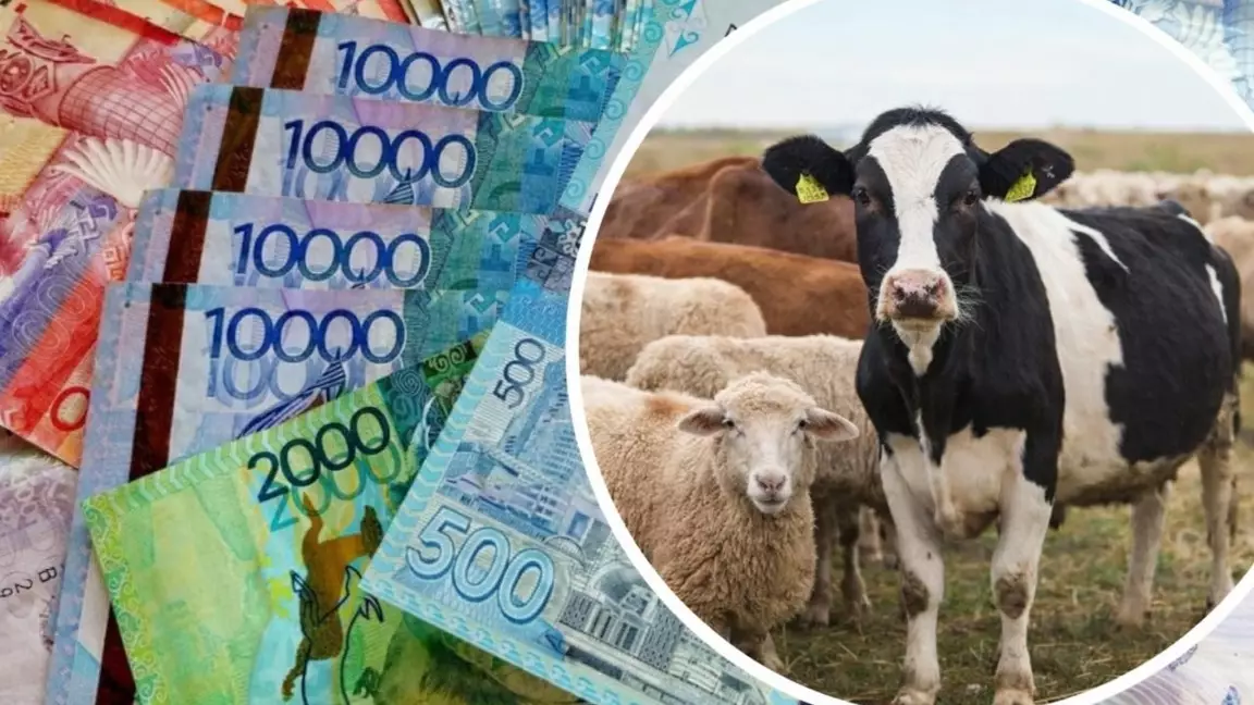 Абай облысында алаяқтар "фермерлерді қолдаймыз" деп 211 млн теңге жымқырған