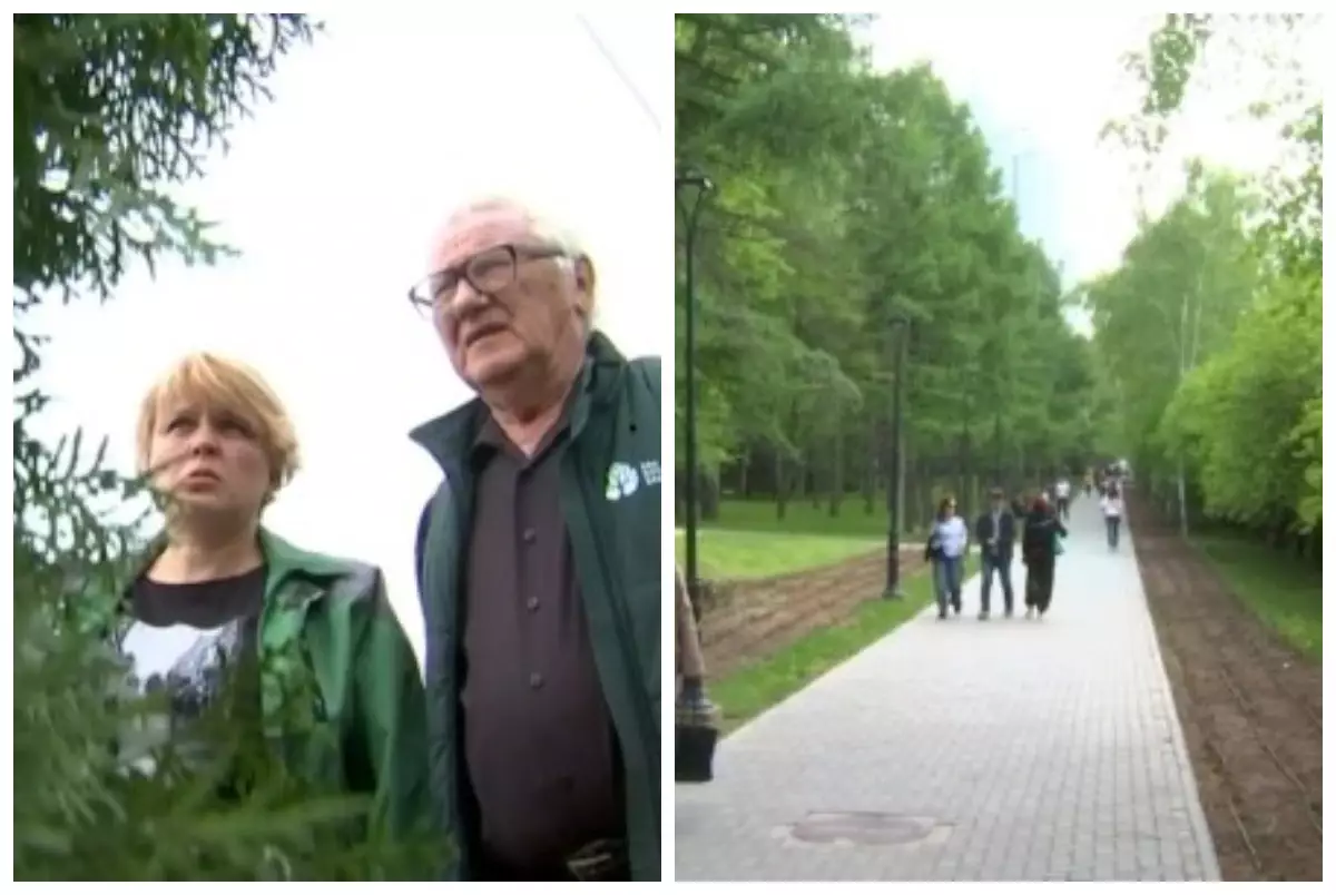 Алматыда ағаштардың биіктігі шектелмек: Шенділердің бұл ұсынысы тұрғындарды алаңдатты