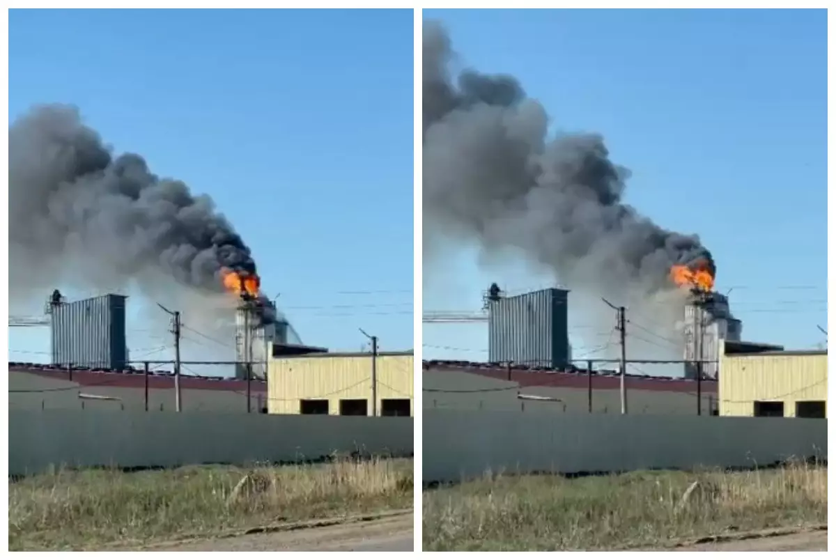 Солтүстік Қазақстанда өсімдік майын шығаратын зауытта өрт шықты