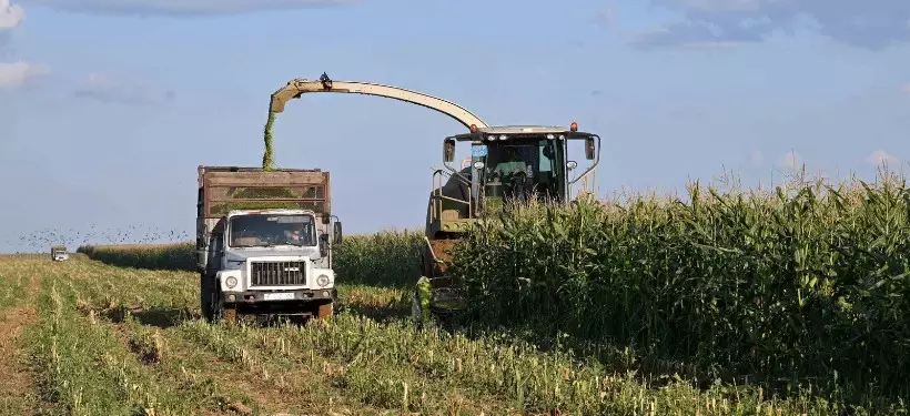 Абай облысында көктемгі егіс науқаны қарқын алды