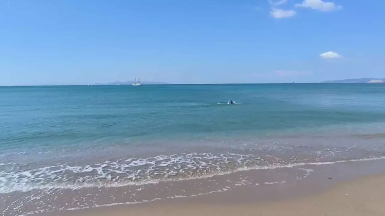 «Таза Қазақстан» поддержали в Греции