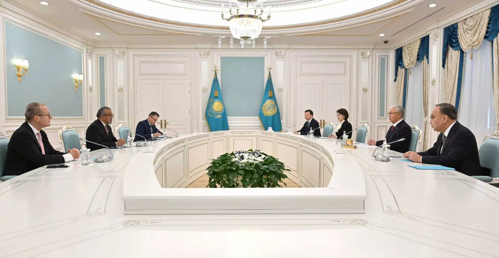 Президент Казахстана принял главу Всемирной организации здравоохранения