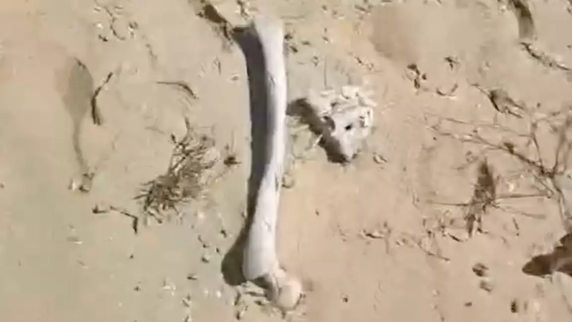 Қорқынышты кадр: Атырау облысында даладан адам сүйектері табылды