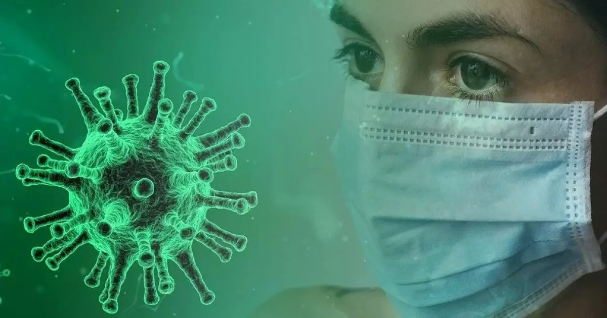  Жаңа пандемия басталуы мүмкін: жаңа жарқанат вирусы туралы не білеміз? 