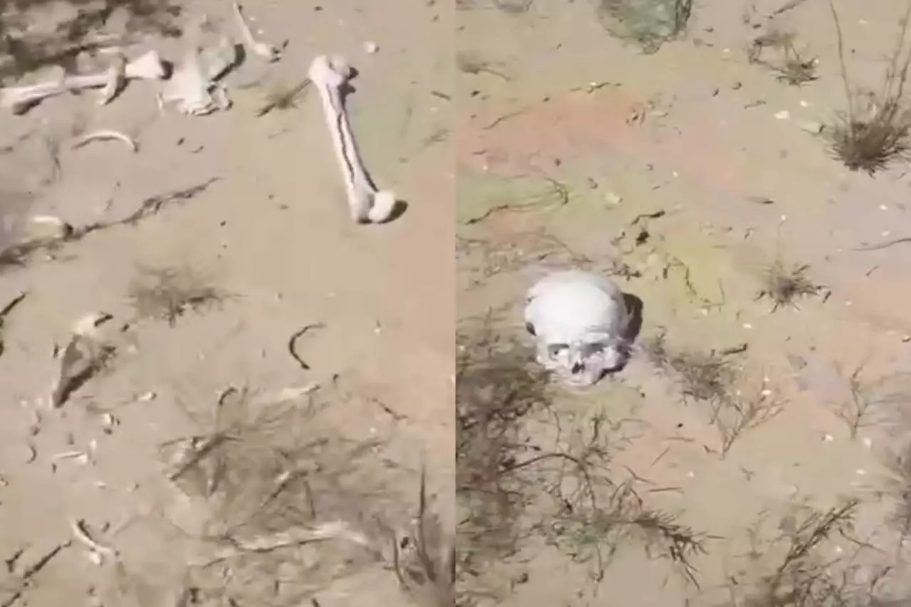 Жылыой зиратынан шашылған адам сүйектері табылды