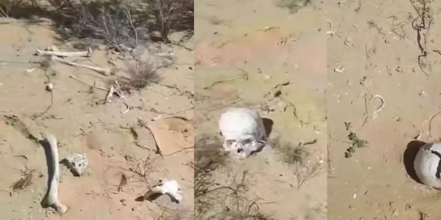 Атырауда адам сүйектері табылды: тексеріс басталды