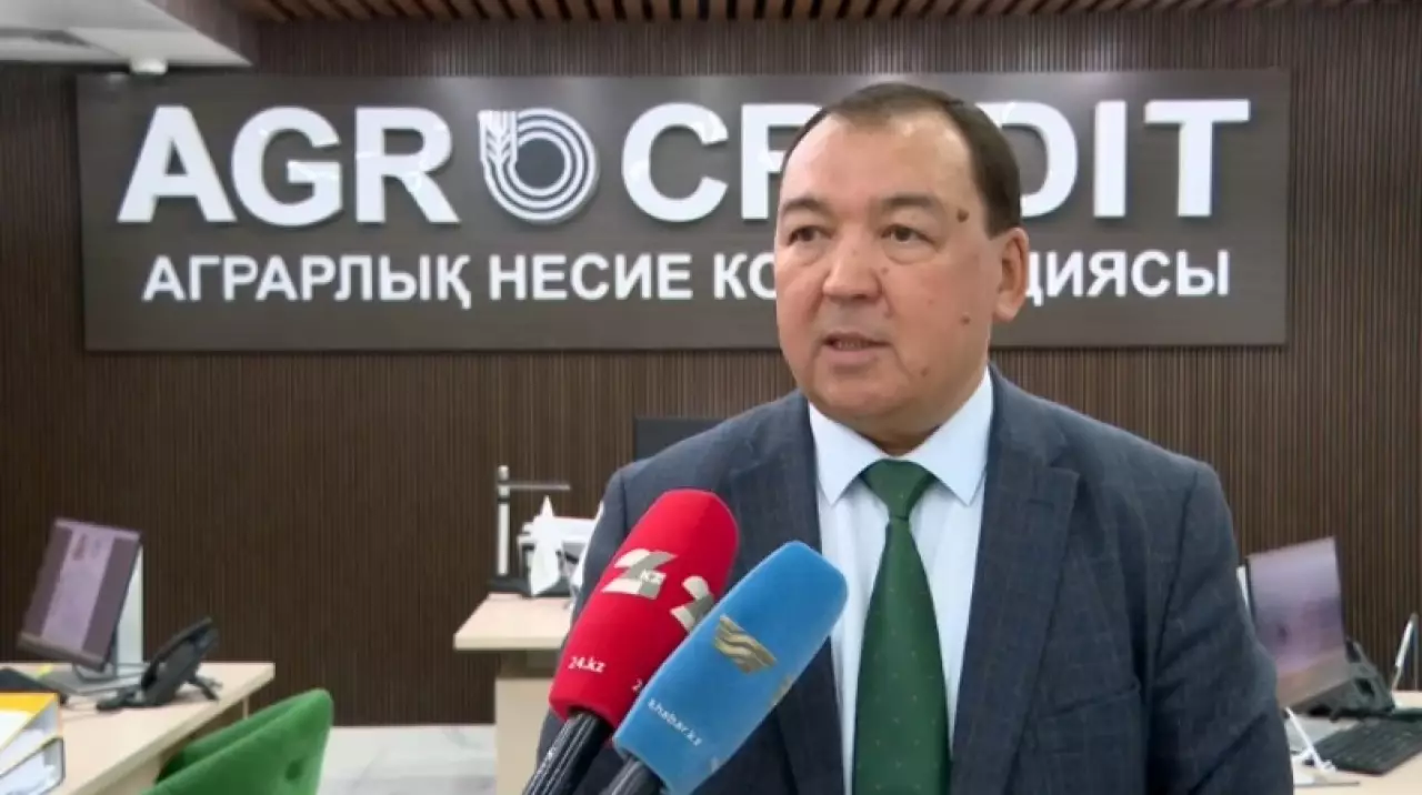 Туркестанским аграриям выдали ₸20 млрд льготных кредитов на посевную