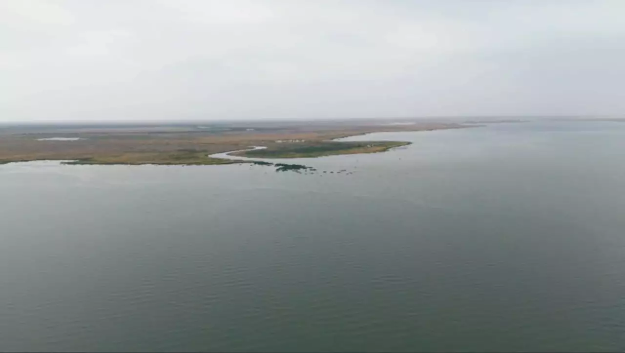 Экожүйе мәселесі мәмілемен реттеледі