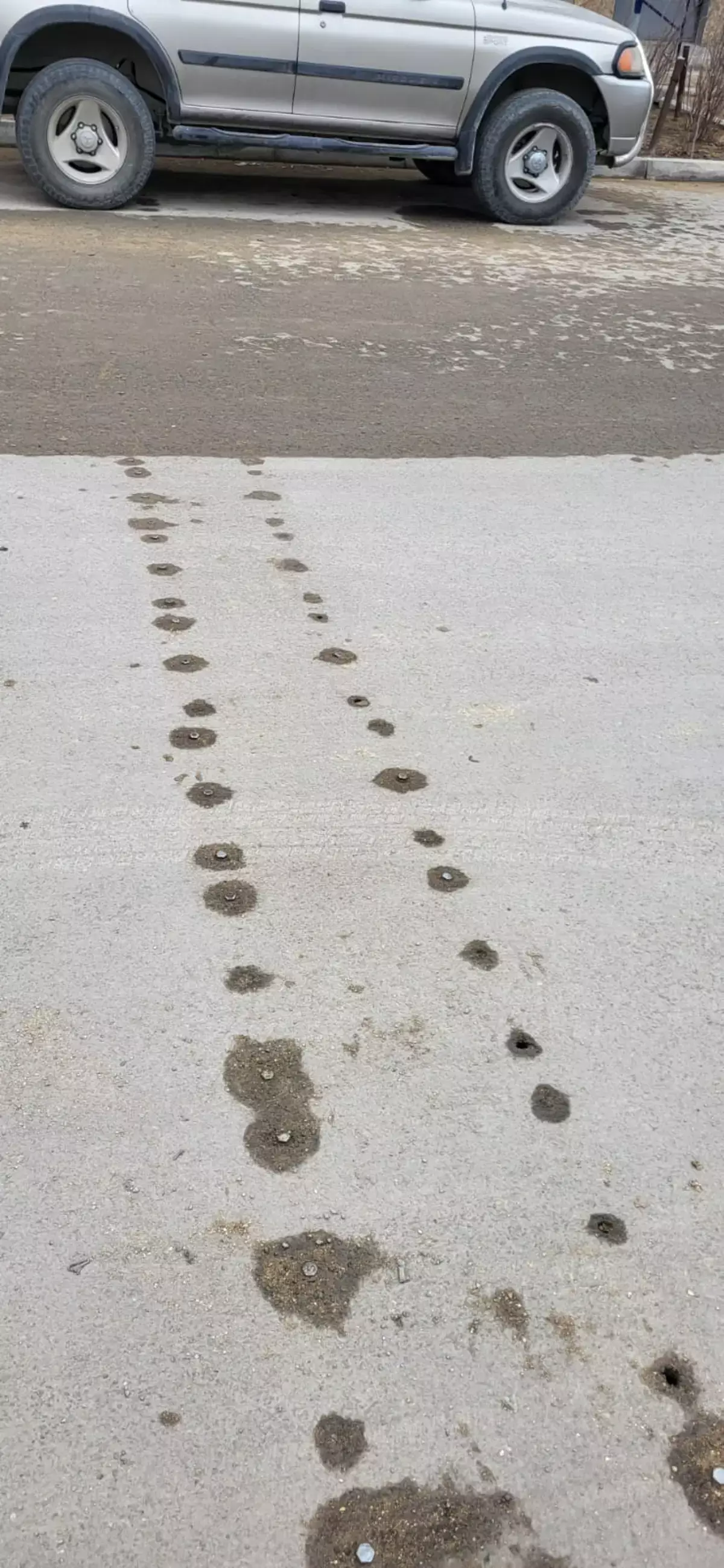 Куда пропал "полицейский"? - новости на Lada.kz 23.04.2026