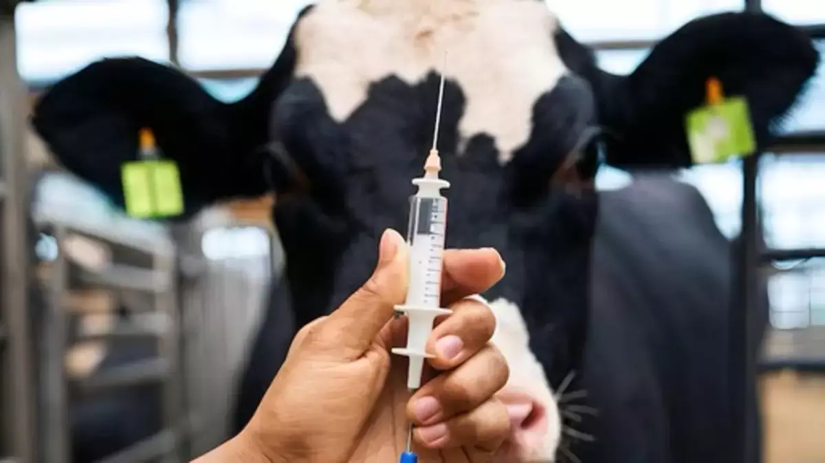 В Казахстане вводят «цифровой поводок» для владельцев скота - новости на Lada.kz 23.04.2026