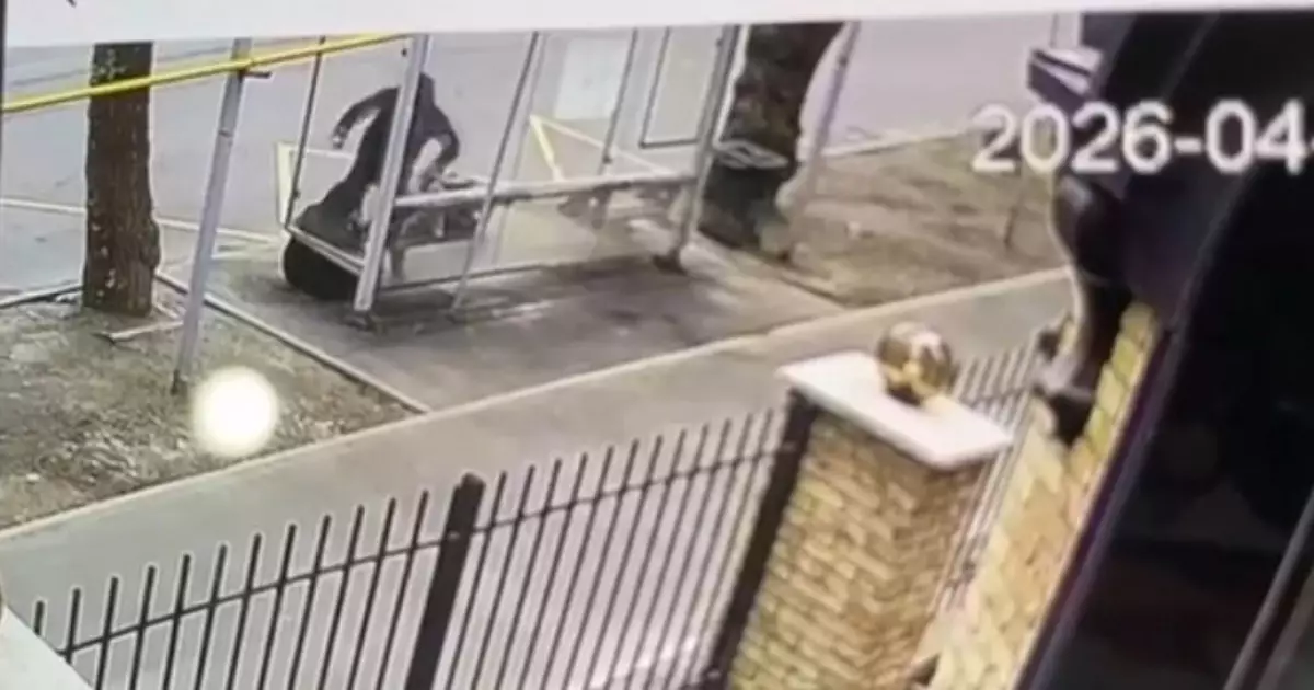  «Ұрып-соғып, басынан тепкен»: Алматыда ер адам 66 жастағы әйелді аяусыз соққыға жыққан (ВИДЕО) 