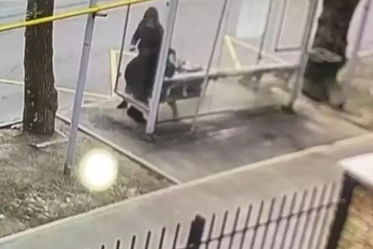 В Алматы мужчина жестоко избил пенсионерку на остановке