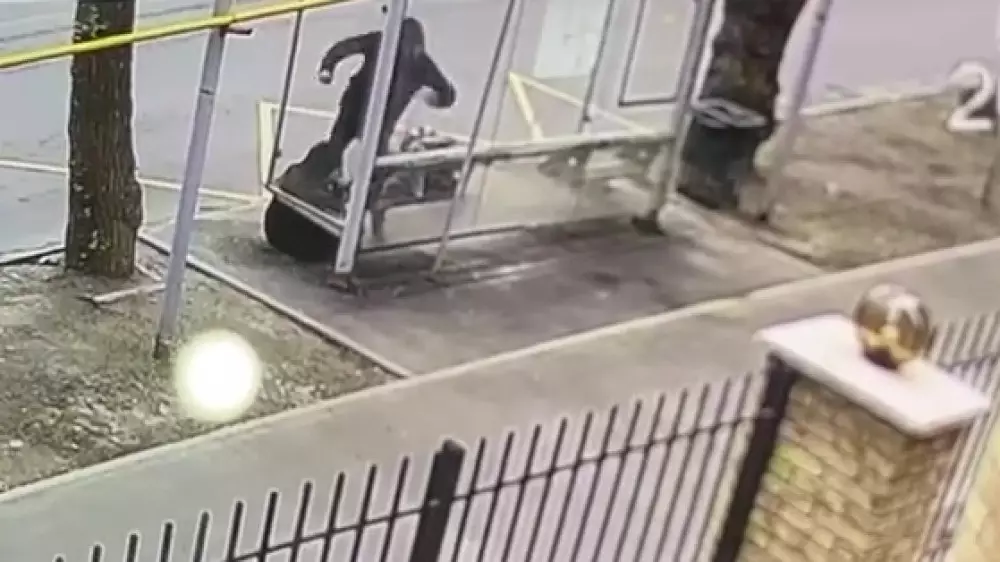 “Қарапайым мейірімді әже“. Аяусыз соққыға жығылған зейнеткердің туыстары оқиға қалай болғанын айтып берді