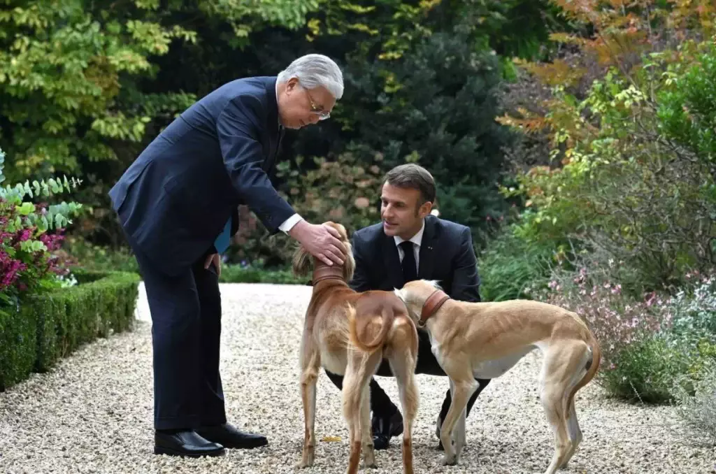 В Казахстане официально учрежден новый праздник: День тазы и төбета