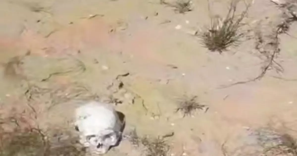  Атыраудағы зираттардың бірінде адам сүйегі шашылып жатыр 