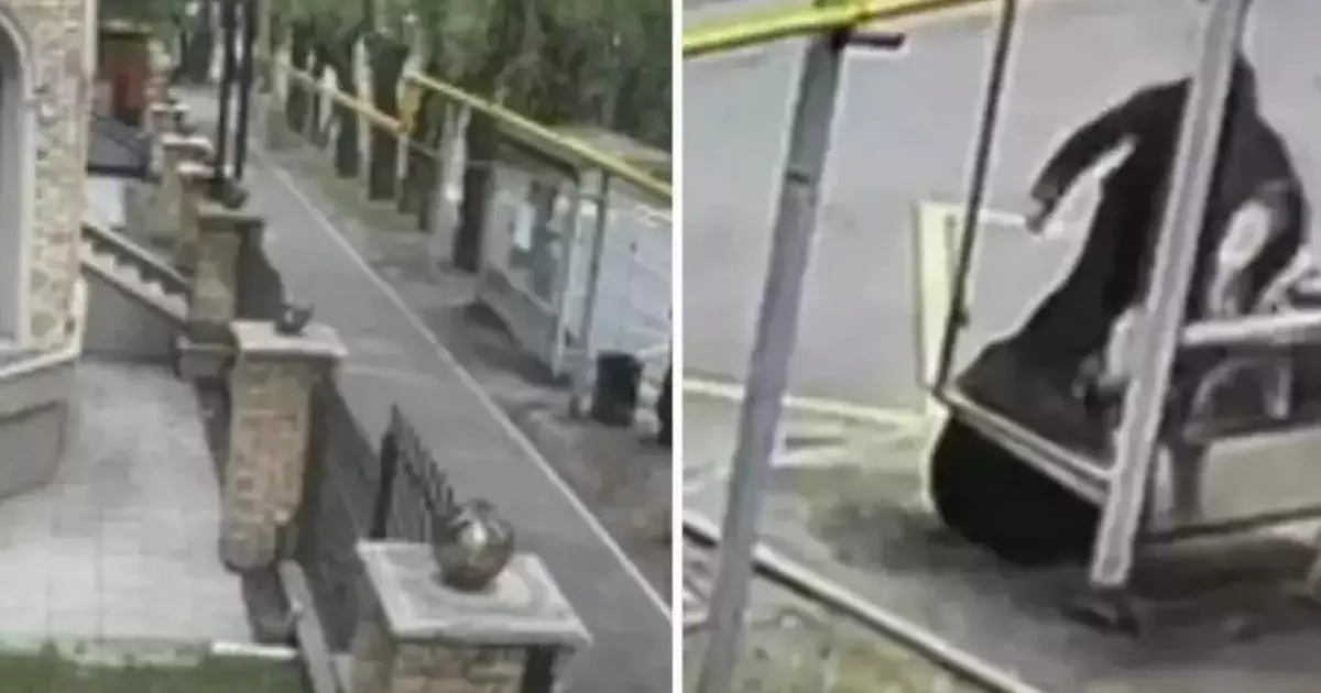  Адам өлтіргені үшін соттылық және шизофрения: Алматыда зейнеткерді соққыға жыққан ер адам туралы не белгілі 