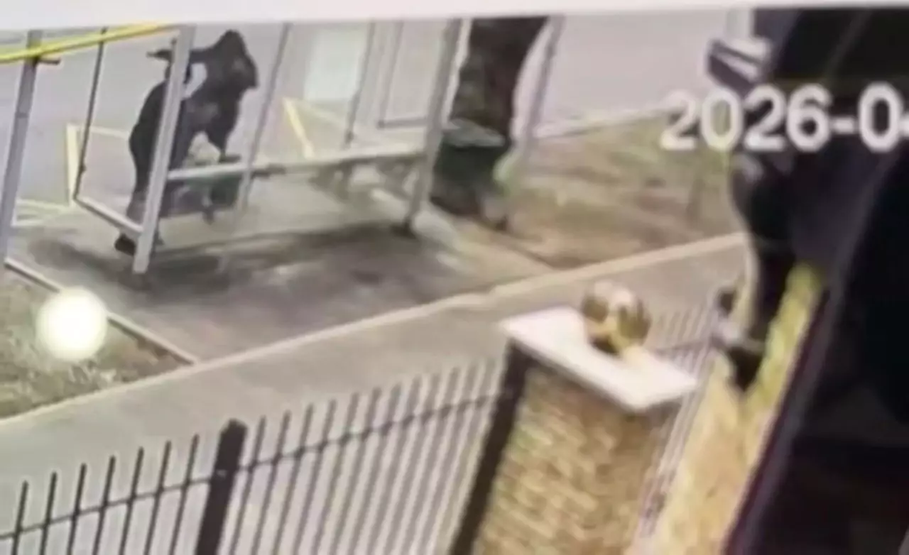 Аялдамадағы cұмдық: 66 жастағы зейнеткерді аяусыз ұрып кеткен