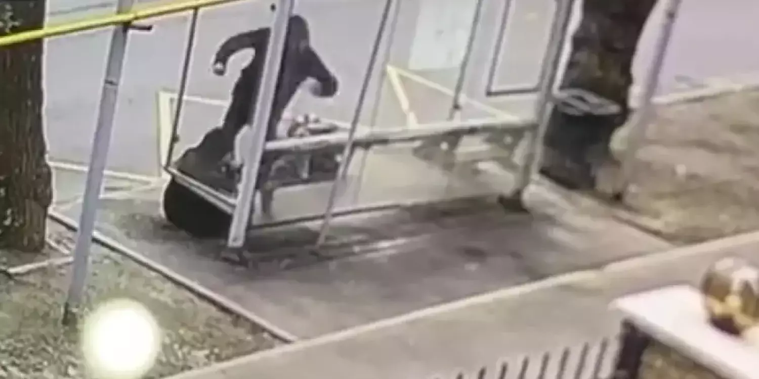 Алматыда аяусыз соққыға жығылған зейнеткер туралы туыстары айтып берді