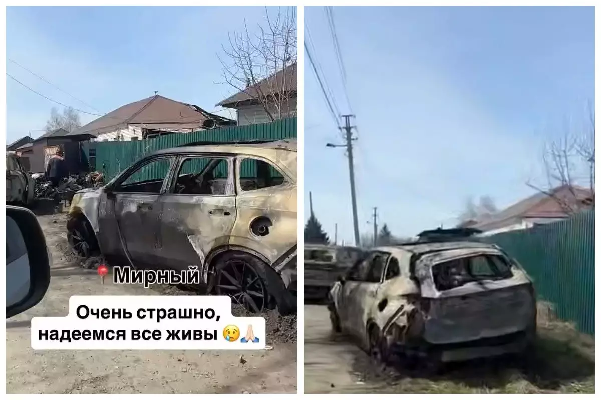 Өскемен тұрғыны электрмобиль сатып алып, ірі шығынға ұшырады