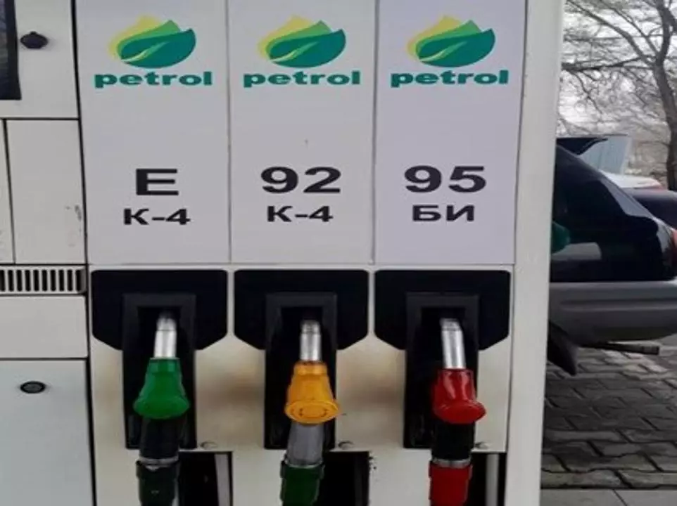 Казахстан запустил продажу зернового топлива на автозаправках.