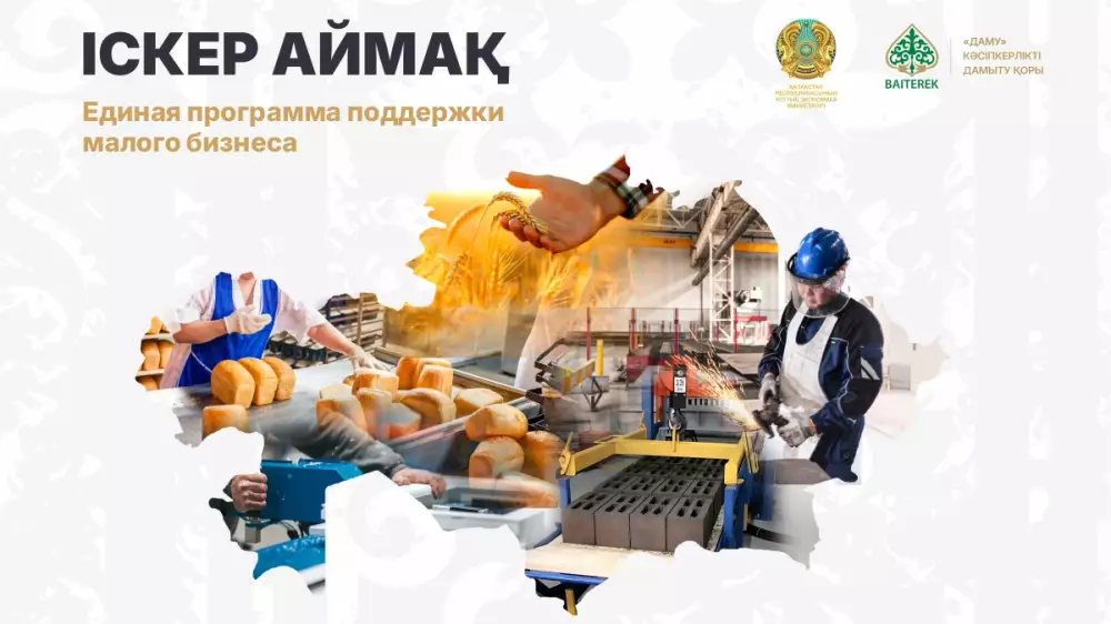 Поддержка бизнеса в регионах: как работает программа “Іскер аймақ“