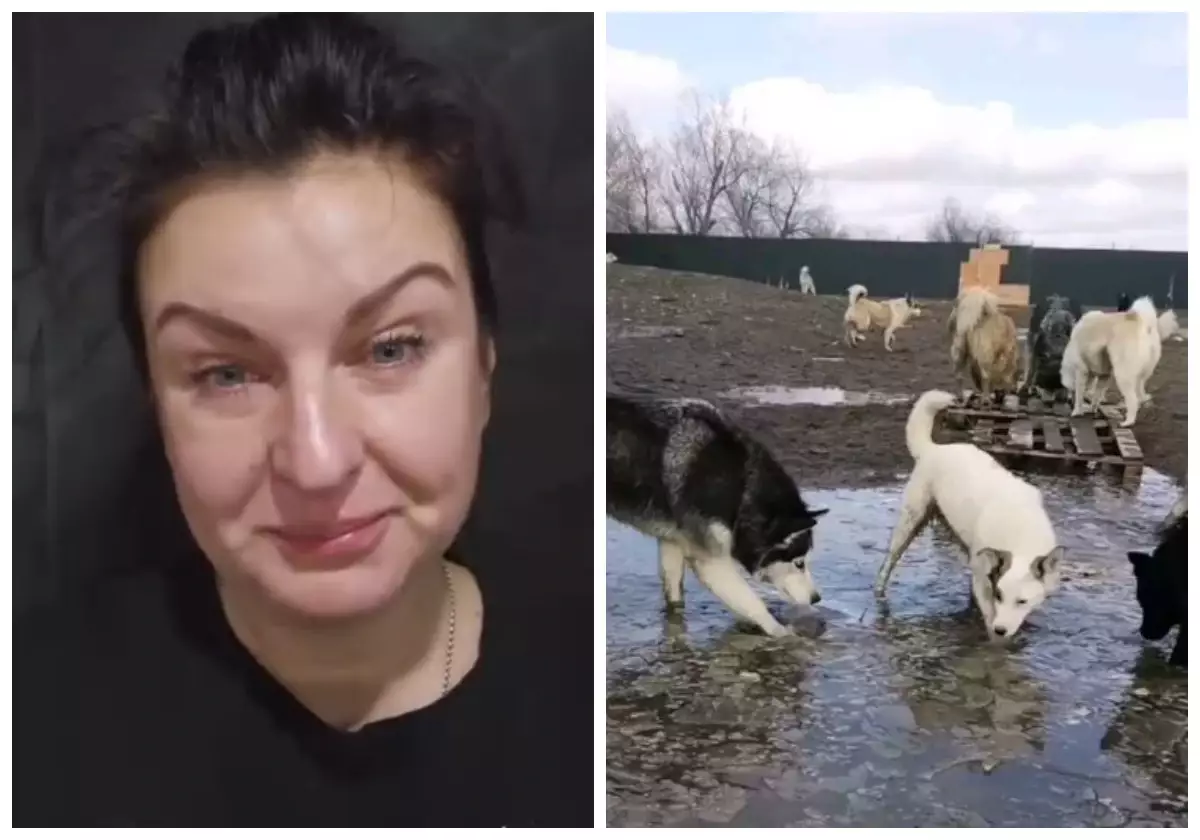 "Біз енді қайда барамыз?”: Алматылық 700-ден астам жануарды асырап отырған жерін мемлекет тартып алғанын айтты