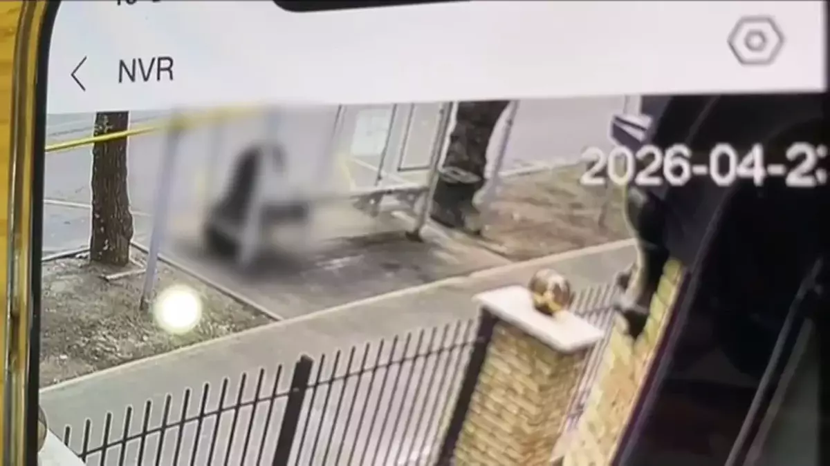 Зейнеткерді соққыға жыққан күдікті қамауға алынды