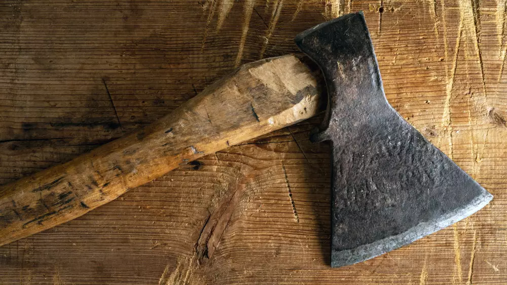 Алматыда оқушы қыз мектепке балтамен барған