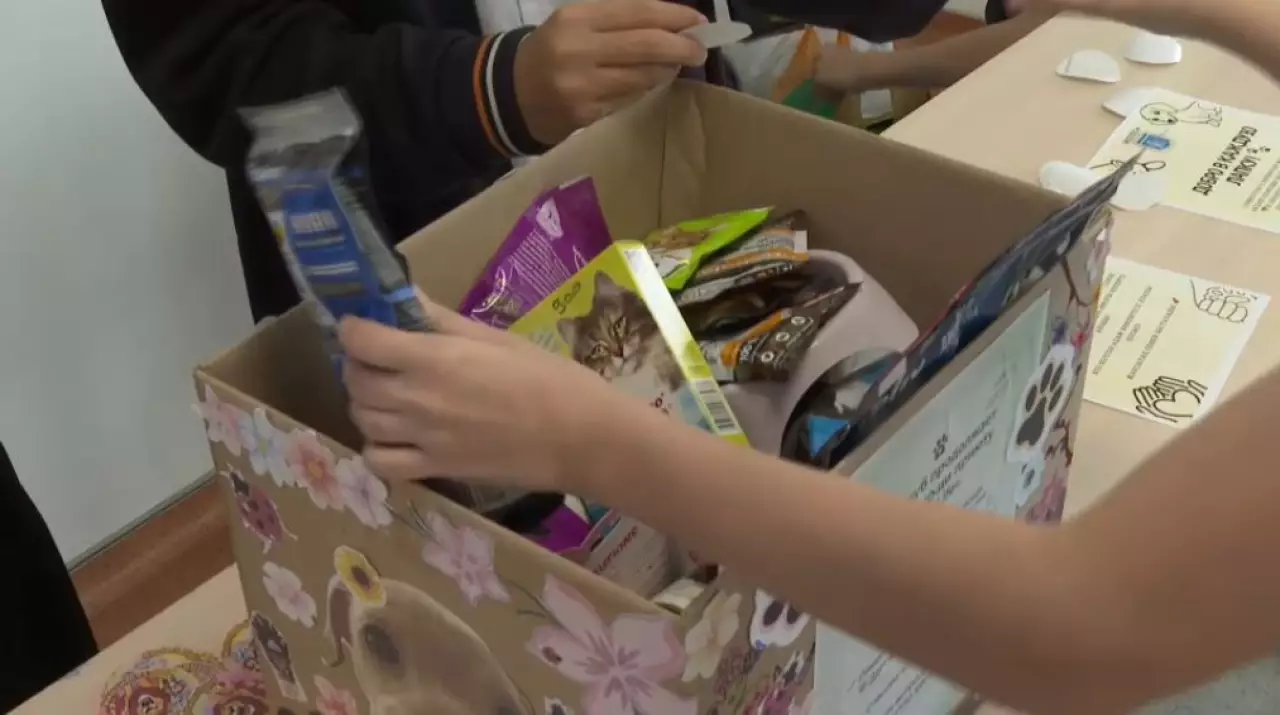 Школьники помогают приютам для животных