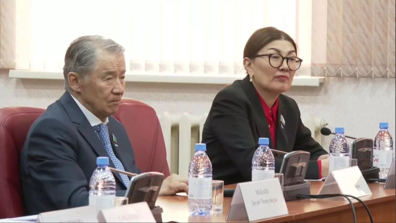 Елімізде 108 мыңнан астам адамның психикалық және мінез-құлық ауытқуы бар